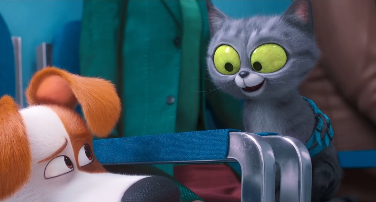 Кадр из фильма Тайная жизнь домашних животных 2 / The Secret Life of Pets 2 (2019)