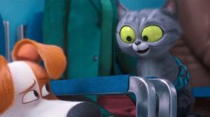 Кадры из фильма Тайная жизнь домашних животных 2 / The Secret Life of Pets 2 (2019)