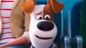Кадры из фильма Тайная жизнь домашних животных 2 / The Secret Life of Pets 2 (2019)