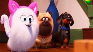 Кадры из фильма Тайная жизнь домашних животных 2 / The Secret Life of Pets 2 (2019)