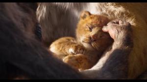Кадры из фильма Король Лев / The Lion King (2019)