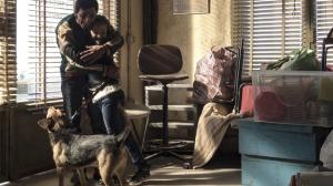 Кадры из фильма Догмэн / Dogman (2018)