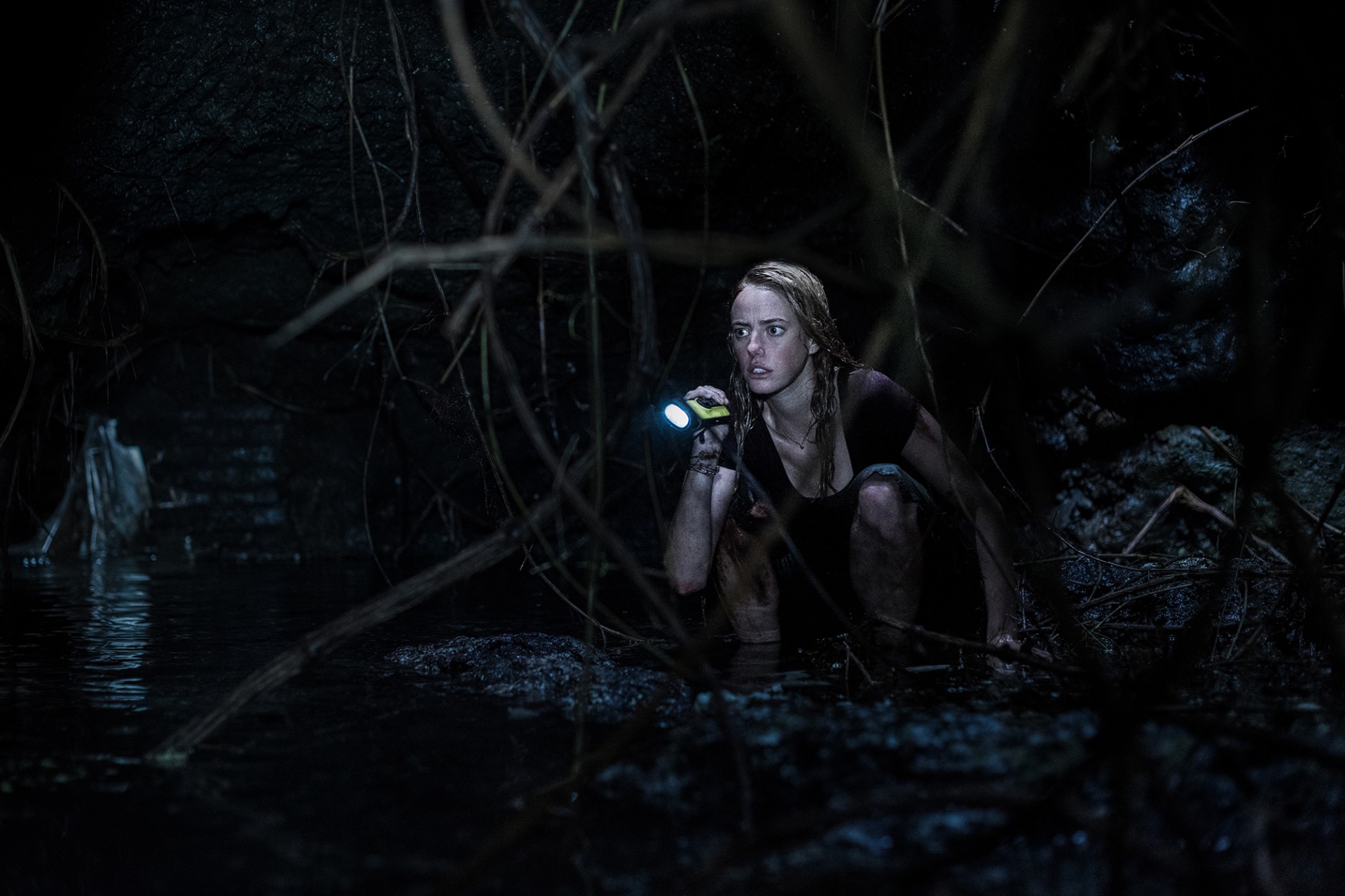 Кадр из фильма Капкан / Crawl (2019)