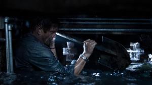 Кадры из фильма Капкан / Crawl (2019)