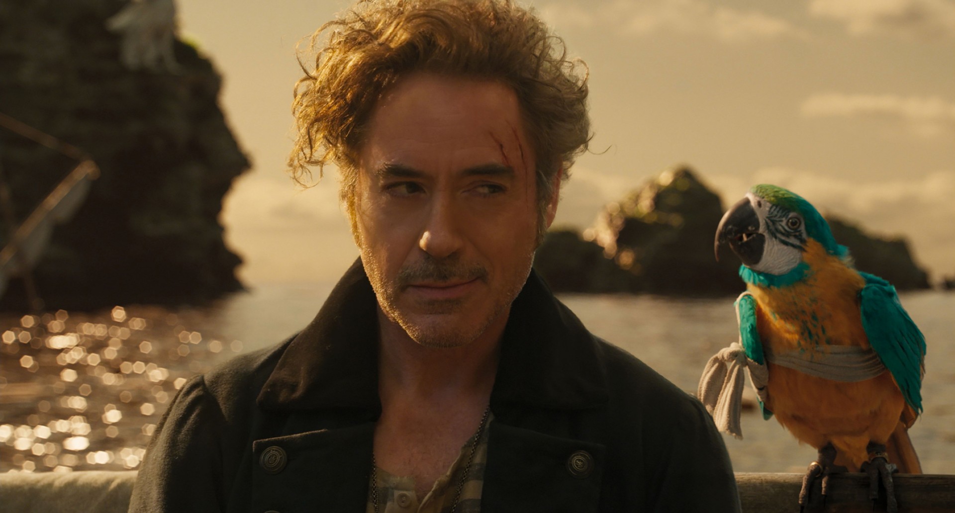 Кадр из фильма Путешествие Доктора Дулиттла / Dolittle (2020)