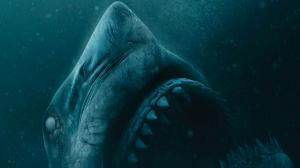 Кадры из фильма Синяя бездна 2 / 47 Meters Down: Uncaged (2019)