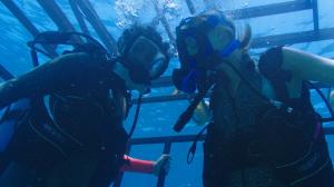 Кадры из фильма Синяя бездна 2 / 47 Meters Down: Uncaged (2019)