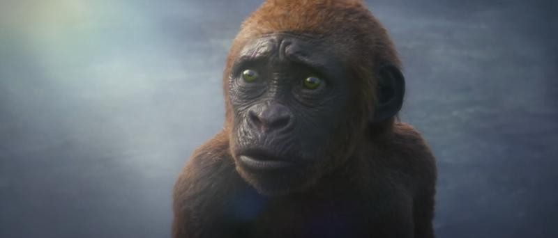 Кадр из фильма Годзилла и Конг: Новая империя / Godzilla x Kong: The New Empire (2024)