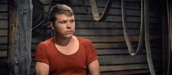 Фотографии с  Михаил Кокшенов