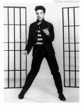 Фотографии с  Элвис Пресли / Elvis Presley