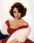 Фотографии с  Элизабет Тейлор / Elizabeth Taylor
