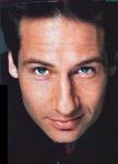 Фотографии с  Дэвид Духовны / David Duchovny