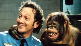 Фотографии с  Роб Шнайдер / Rob Schneider